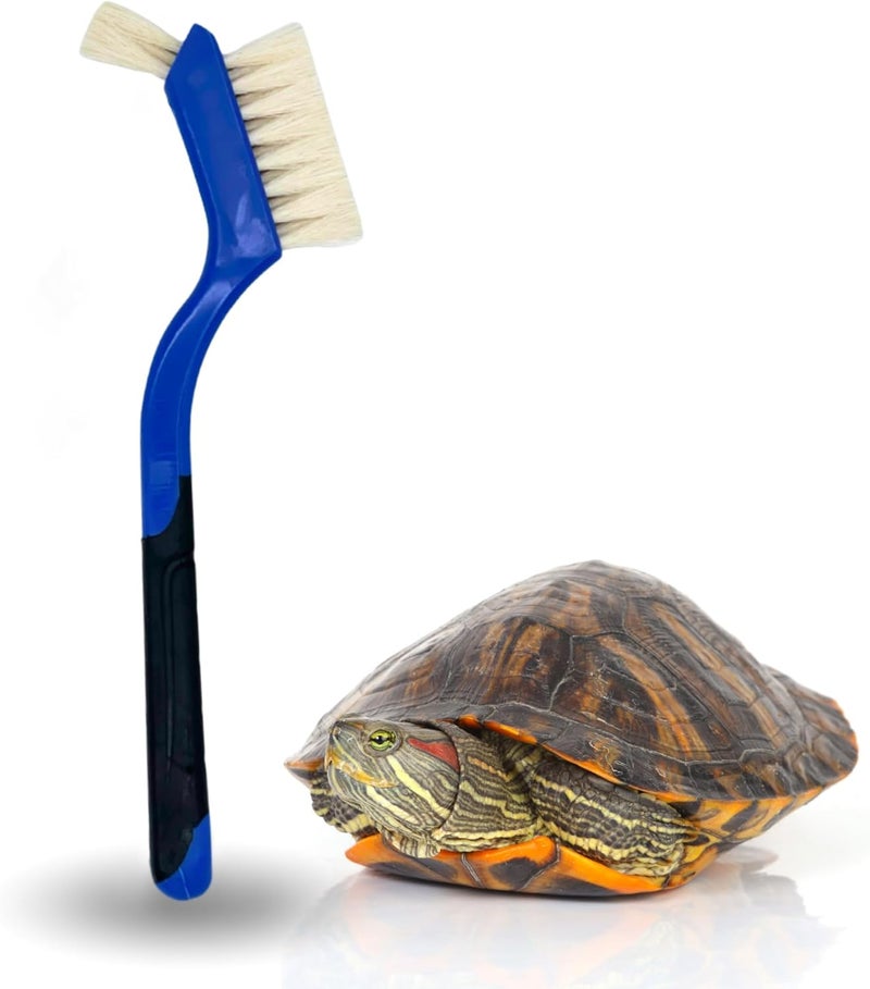 Snout and Shell Turtle Cleaning Brush - Gently Remove Dirt from Turtles and Tortoises - Blue by - Image 1